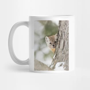 Pine Marten Mug